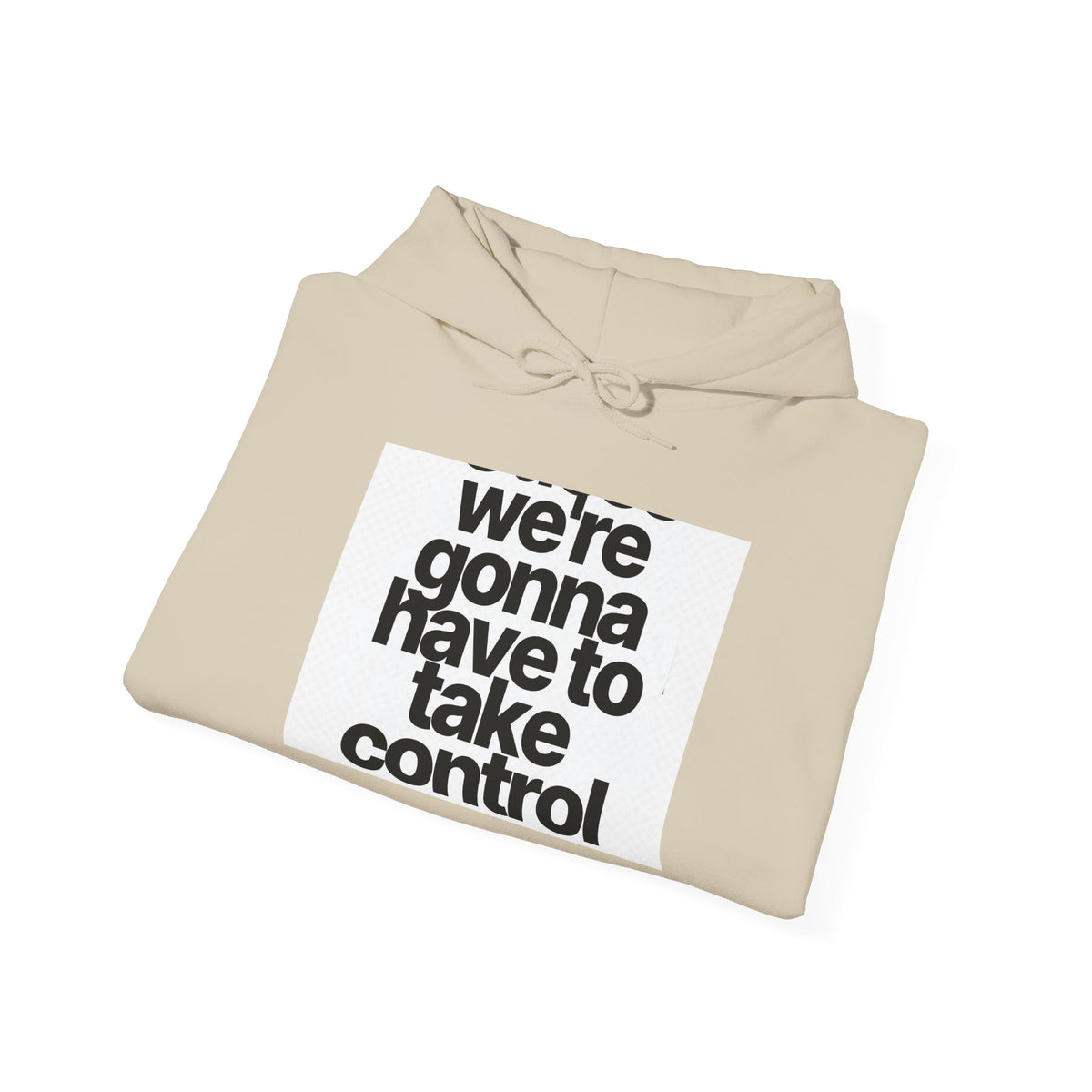 Control Statement Hoodie — "we're gonna have to take control" Graphic Hoodie