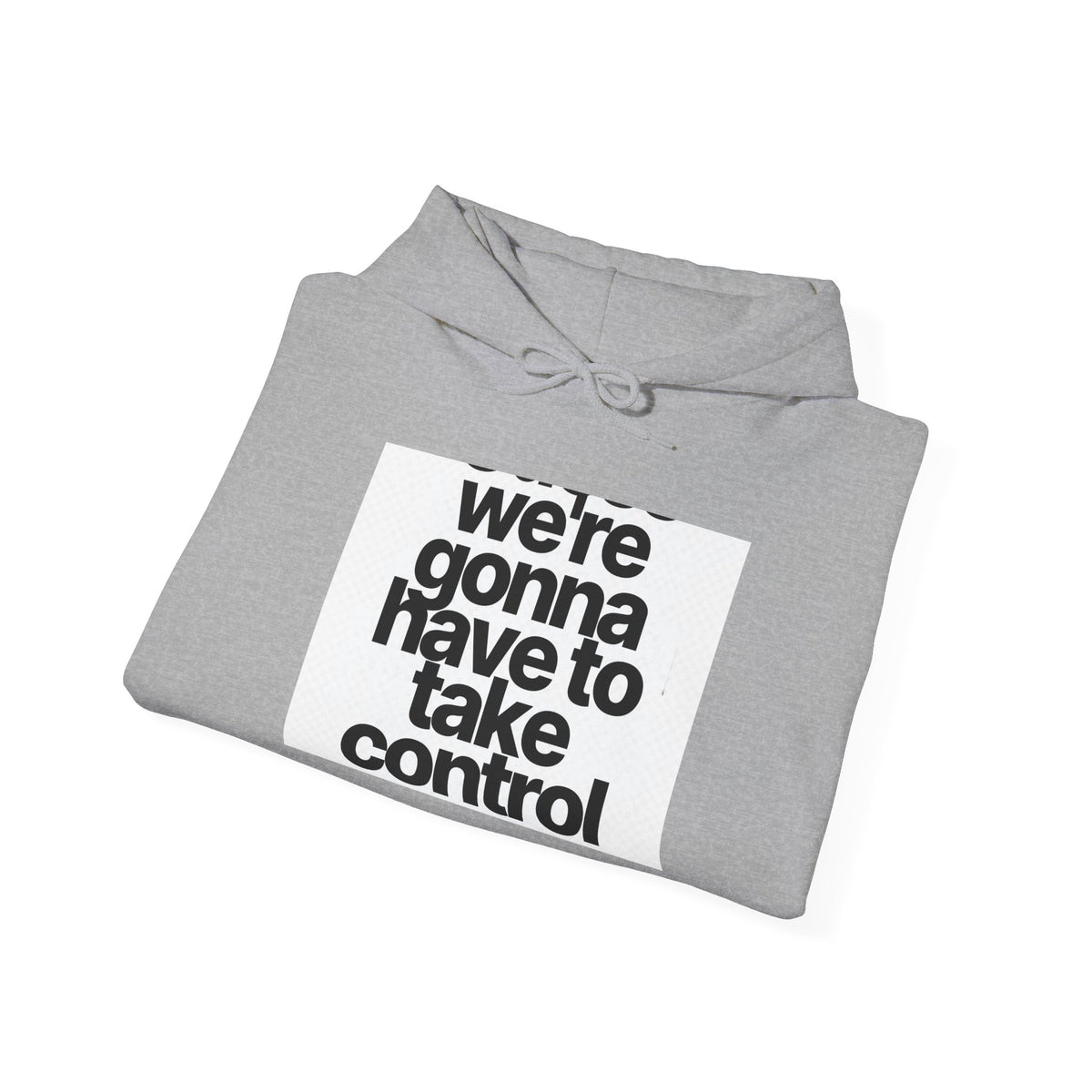 Control Statement Hoodie — "we're gonna have to take control" Graphic Hoodie
