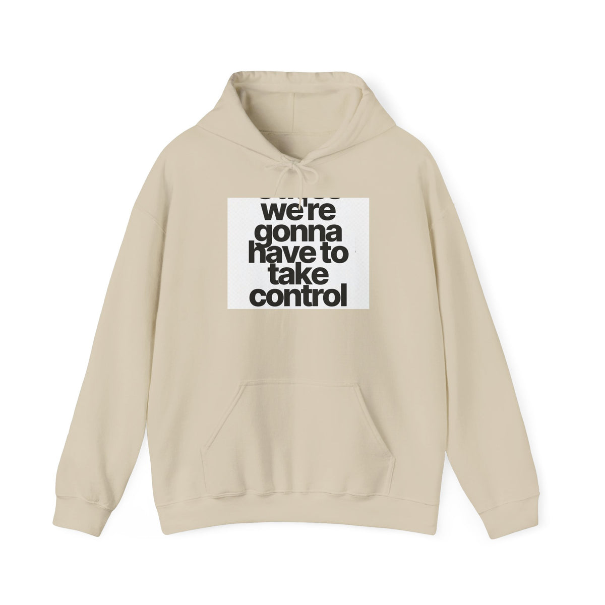 Control Statement Hoodie — "we're gonna have to take control" Graphic Hoodie